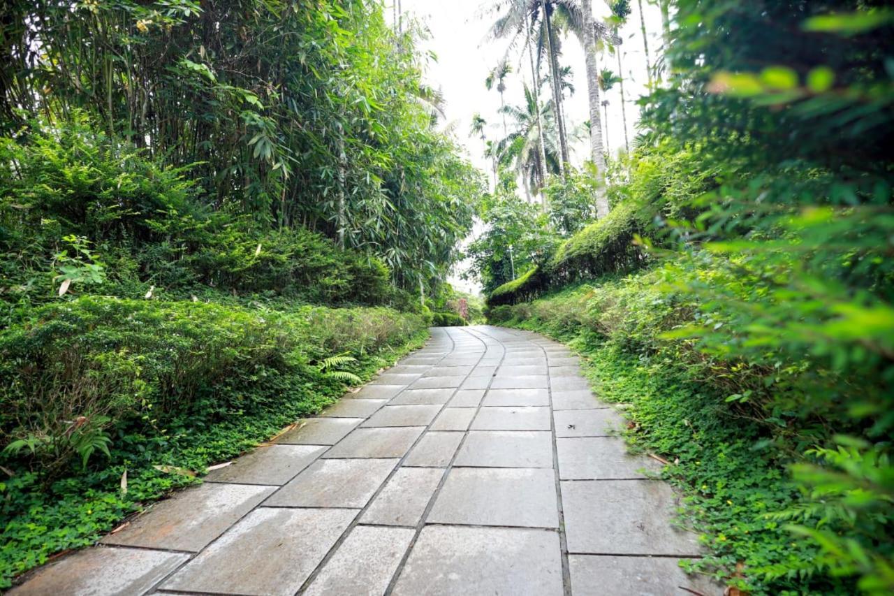Wayanad Green Park Resort Ambalavayal Exterior photo