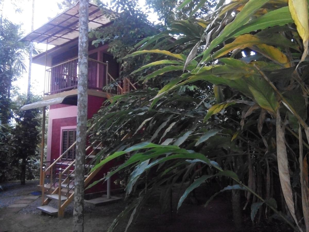 Wayanad Green Park Resort Ambalavayal Exterior photo